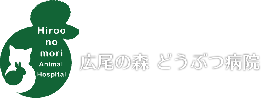 広尾の森どうぶつ病院　ホームへ